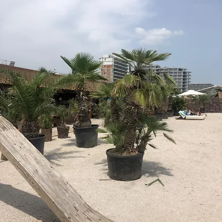 Apartmán Oscar Summerland Mamaia
